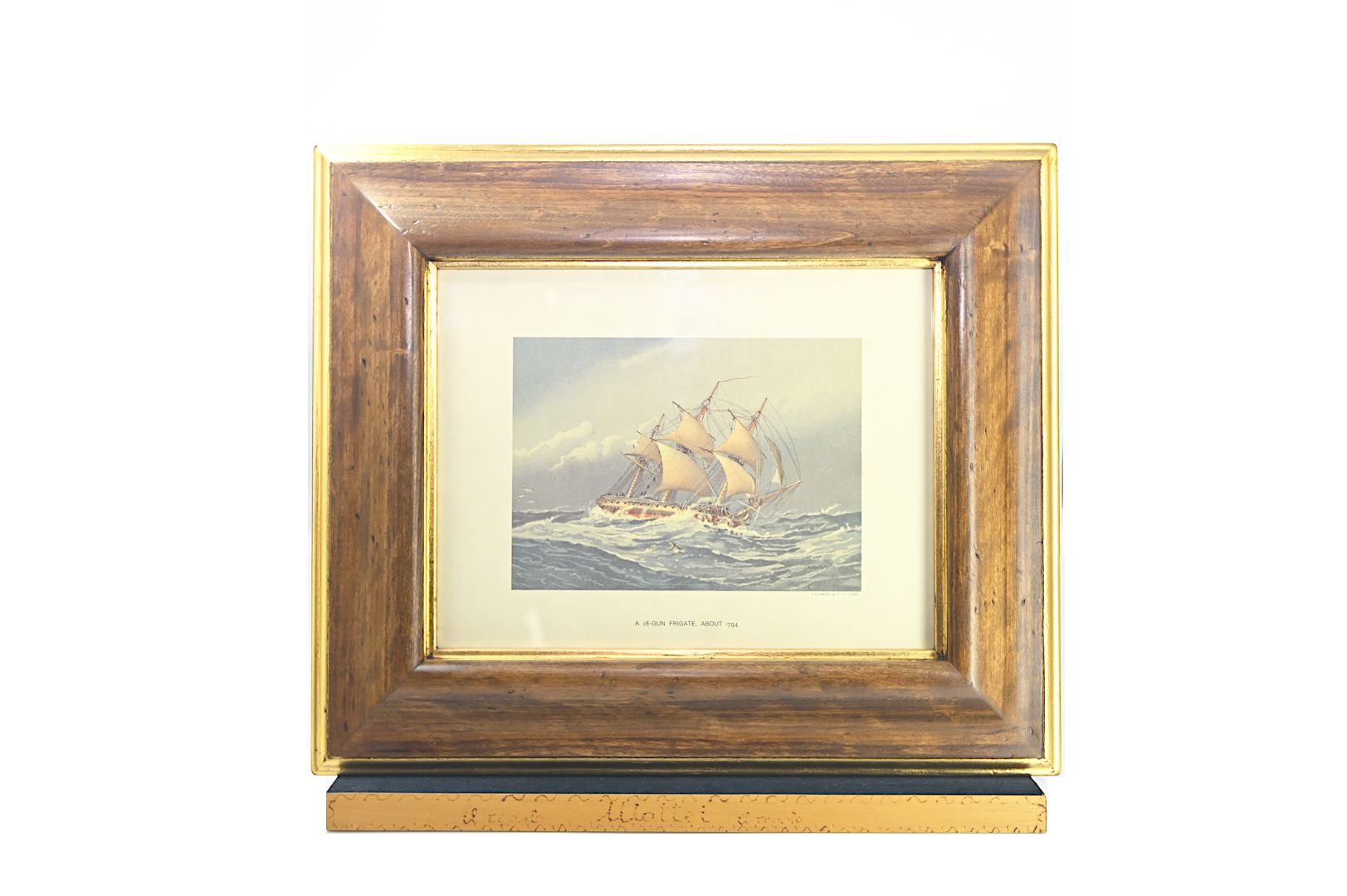 oggetti per l'arredo della casa a Roma, oggetti per l'arredo del tuo ufficio, oggetti per l'arredo della tua barca, quadri, oggetti da parete, orologi da muro, orologi da tavolo, uova di struzzo a Roma, uova di struzzoOggetti eleganti, stravaganti e classici per arredare la tua casa, il tuo studio, il tuo negozio, la tua barca: qualsiasi luogo che ami.